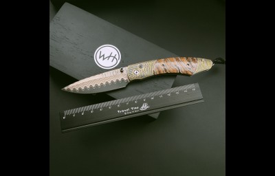 热带草原II